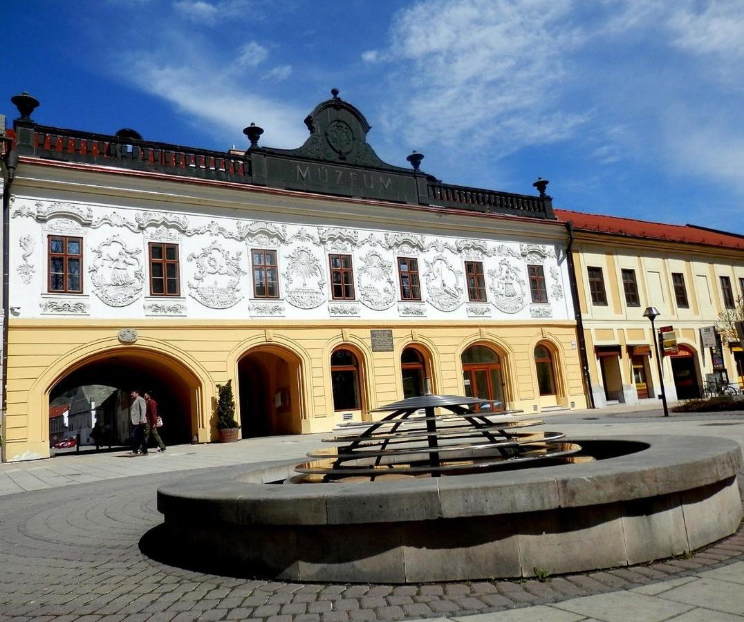 Apartman Ala Spišská Nová Ves المظهر الخارجي الصورة